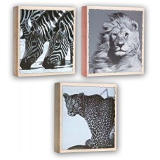 ZEP WL46200 11x16 WILD LIFE (S) ASSORTI FOTOALBUMS